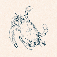 kogge-tl-krabbe